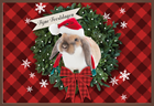 Een choco kaart van een konijn met een kerstmuts